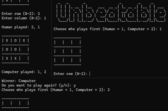 Screenshot of the program running in terminal